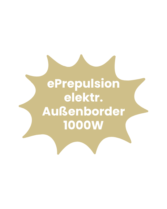 ePrepulsion, elektr. Außenborder, 1000W